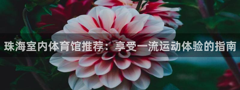 意昂体育3开户：珠海室内体育馆推荐：享受一流运动体验