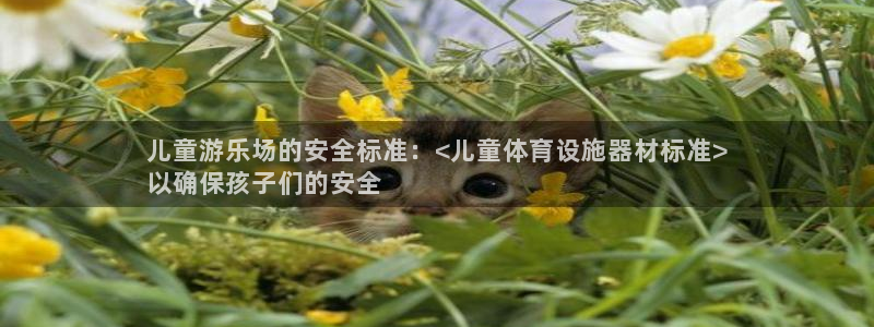 意昂3官网：儿童游乐场的安全标准：<儿童体育设施器材