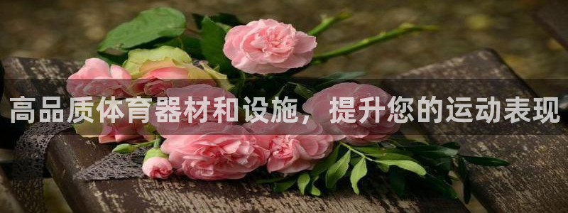 意昂体育3是干嘛的公司：高品质体育器材和设施，提升您