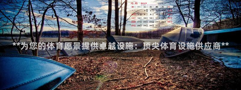 海南意昂体育3发展怎么样：**为您的体育愿景提供卓越