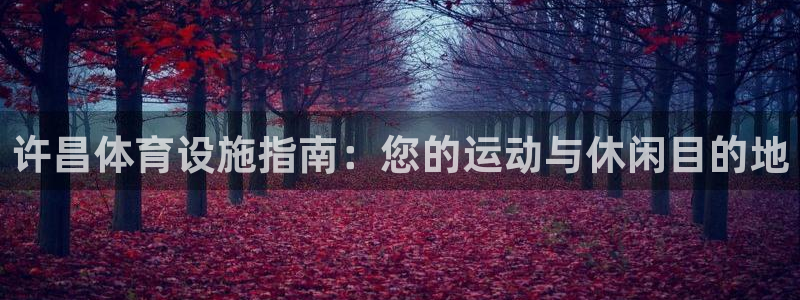 意昂体育3招商电话地址：许昌体育设施指南：您的运动与