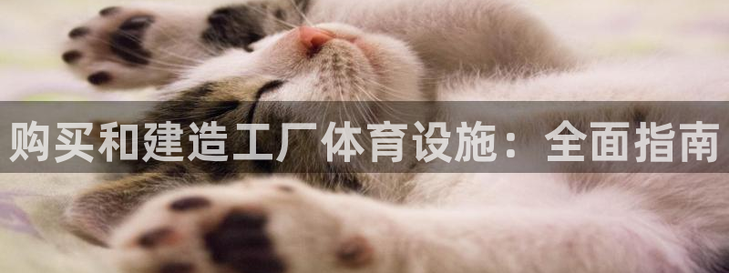 意昂体育3招商电话地址查询：购买和建造工厂体育设施：