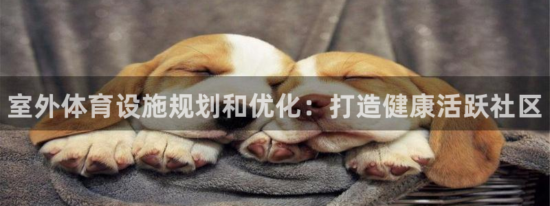 意昂体育3平台注册：室外体育设施规划和优化：打造健康