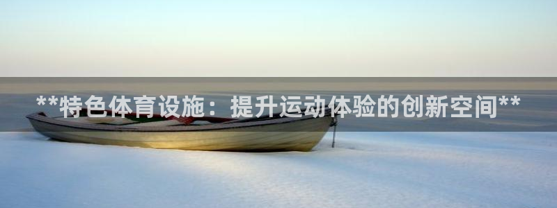 意昂3新能源：**特色体育设施：提升运动体验的创新空