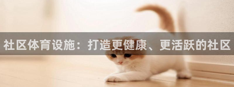 意昂体育3平台假的吗是真的吗：社区体育设施：打造更健