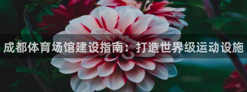 意昂3娱乐代理怎么样：成都体育场馆建设指南：打造世界