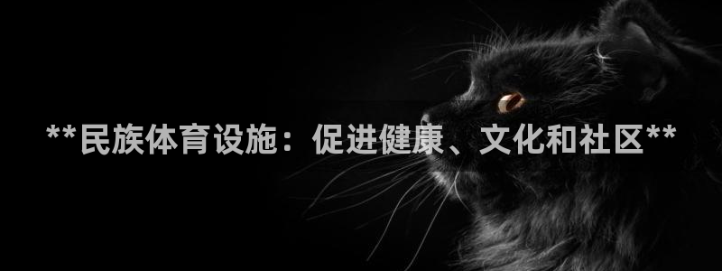 意昂体育3平台是正规平台吗安全吗：**民族体育设施：
