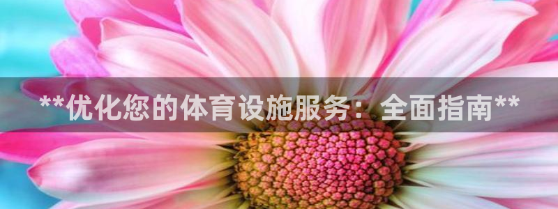 意昂3神州：**优化您的体育设施服务：全面指南**
