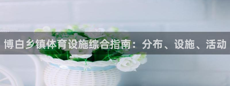 意昂3娱乐网站：博白乡镇体育设施综合指南：分布、设施