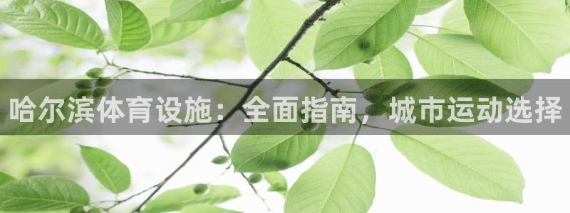 意昂体育3招商电话地址查询：哈尔滨体育设施：全面指南