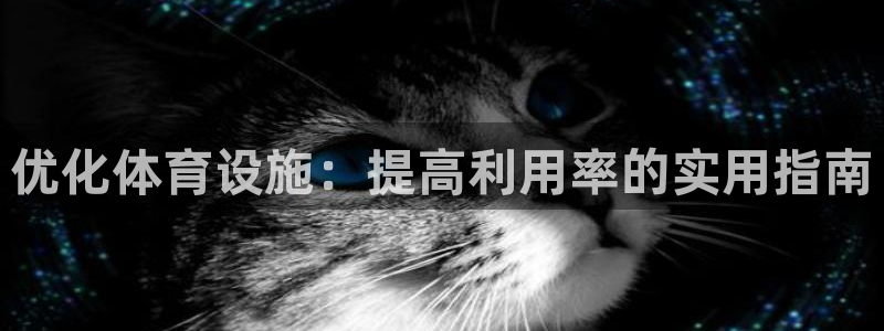 意昂3五金厂：优化体育设施：提高利用率的实用指南