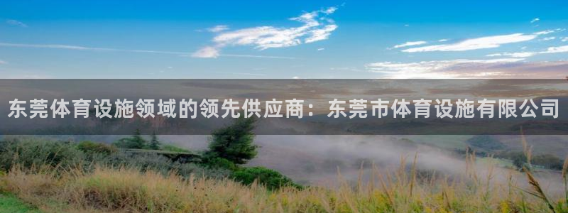意昂3娱乐网站：东莞体育设施领域的领先供应商：东莞市