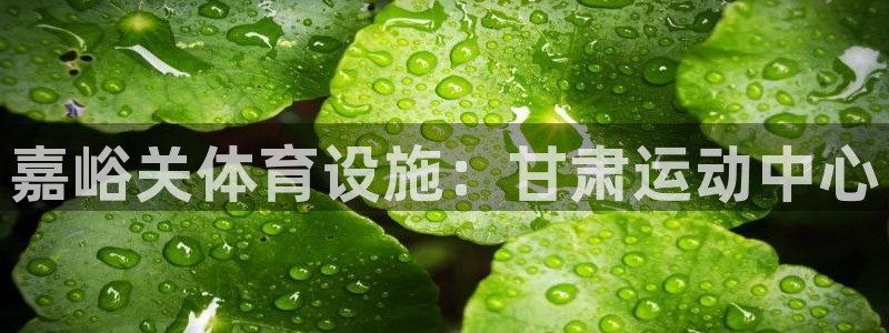 意昂体育3招商电话地址是多少：嘉峪关体育设施：甘肃运