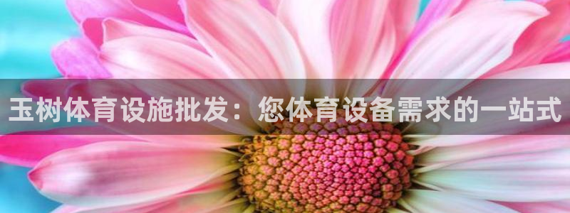 意昂3代理：玉树体育设施批发：您体育设备需求的一站式