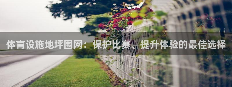 意昂3五金厂：体育设施地坪围网：保护比赛、提升体验的
