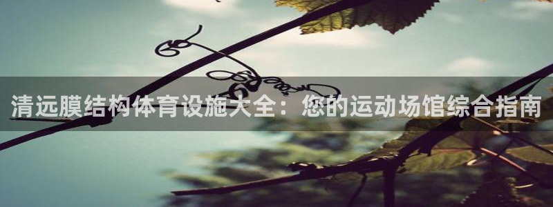 意昂3娱乐首页网站大全：清远膜结构体育设施大全：您的