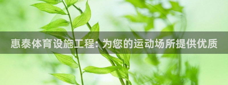 意昂3娱乐是那个系列的台子：惠泰体育设施工程: 为您