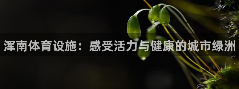 意昂体育3招商电话是多少：浑南体育设施：感受活力与健