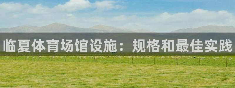 意昂3集团E.ON：临夏体育场馆设施：规格和最佳实践
