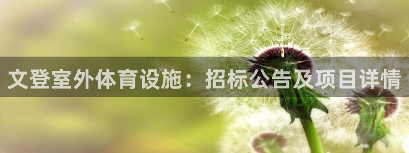 意昂3新能源：文登室外体育设施：招标公告及项目详情