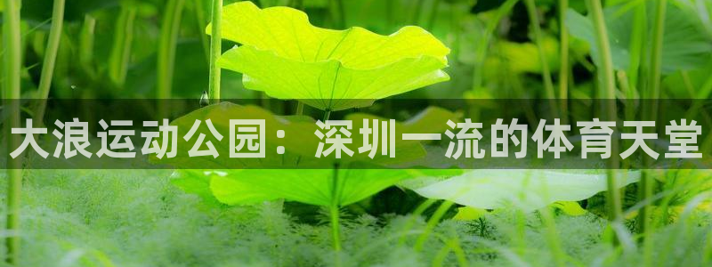 海南意昂体育3发展怎么样：大浪运动公园：深圳一流的体