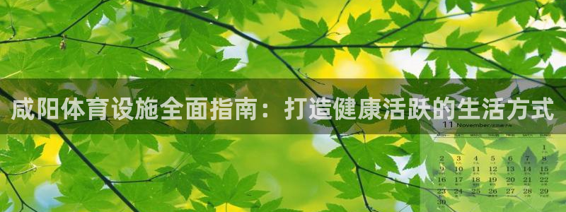 意昂体育3平台注册流程视频：咸阳体育设施全面指南：打