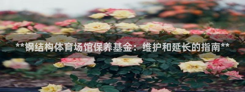 意昂体育3平台假的吗是真的吗：**钢结构体育场馆保养