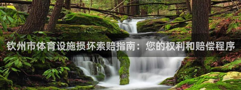 意昂体育3软件：钦州市体育设施损坏索赔指南：您的权利