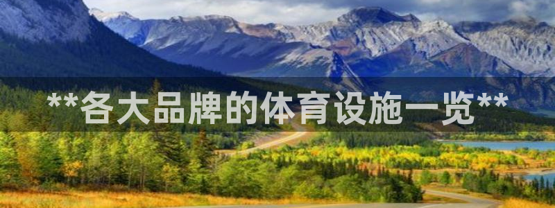 意昂3集团简介：**各大品牌的体育设施一览**
