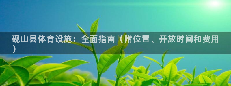 意昂3集团简介：砚山县体育设施：全面指南（附位置、开