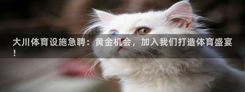 意昂3集团E.ON：大川体育设施急聘：黄金机会，加入