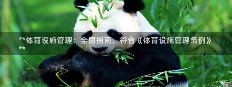 意昂体育3平台注册流程图：**体育设施管理：全面指南
