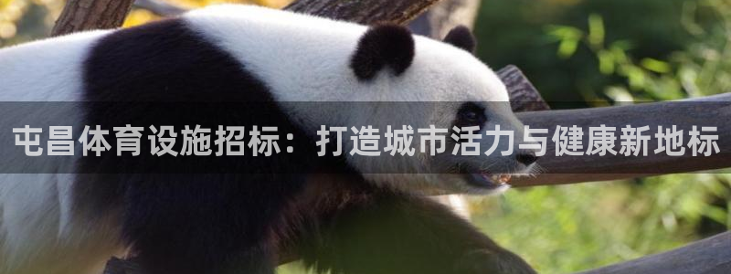 意昂体育3招商电话号码是多少啊