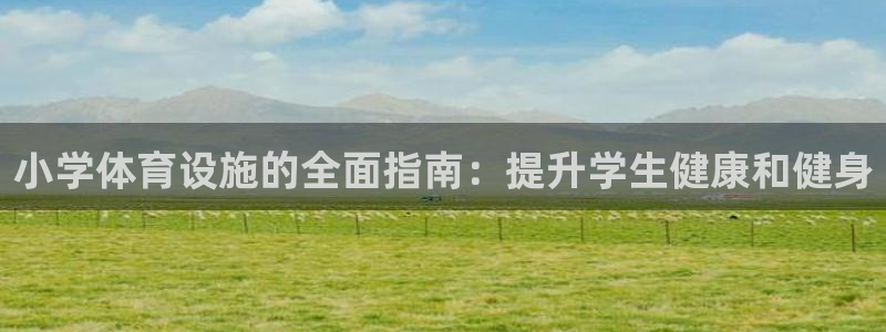 意昂3娱乐平台：小学体育设施的全面指南：提升学生健康