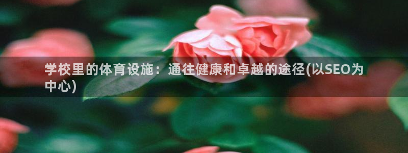 意昂3集团：学校里的体育设施：通往健康和卓越的途径(