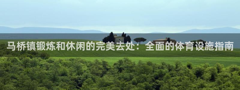 意昂3五金厂：马桥镇锻炼和休闲的完美去处：全面的体育
