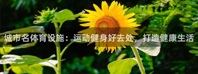 意昂体育3招商电话是多少：城市名体育设施：运动健身好