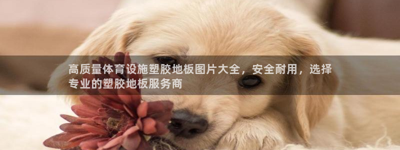 意昂体育3平台：高质量体育设施塑胶地板图片大全，安全