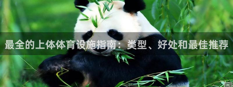 意昂体育3注册：最全的上体体育设施指南：类型、好处和