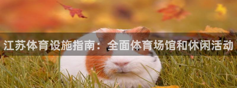 意昂体育3招商电话是多少：江苏体育设施指南：全面体育
