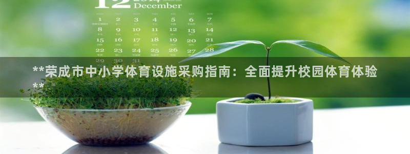 意昂3娱乐首页网站大全：**荣成市中小学体育设施采购