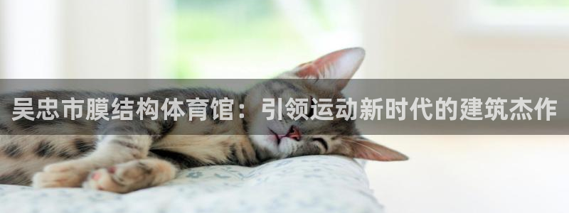 意昂体育3招商电话号码查询：吴忠市膜结构体育馆：引领