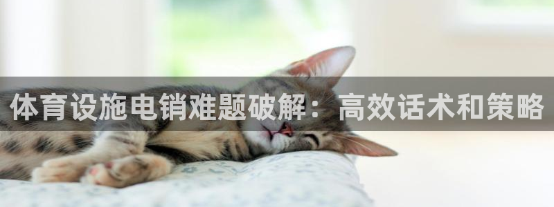 海南意昂体育3：体育设施电销难题破解：高效话术和策略