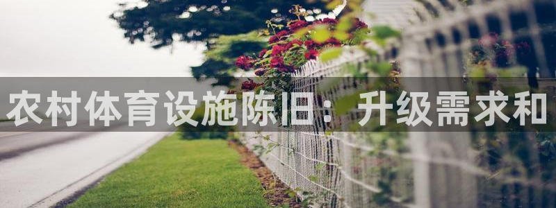 意昂3娱乐40996：农村体育设施陈旧：升级需求和
