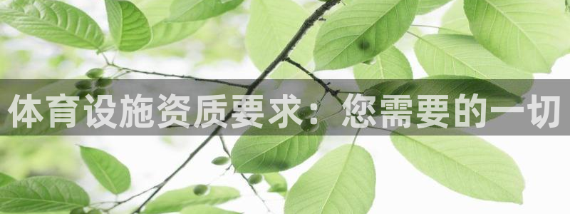意昂体育3平台是正规平台吗知乎：体育设施资质要求：您