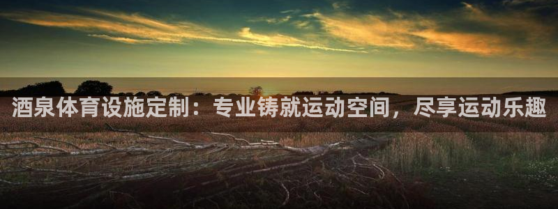 注册意昂3：酒泉体育设施定制：专业铸就运动空间，尽享