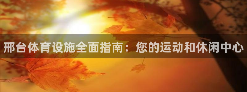 意昂3五金厂：邢台体育设施全面指南：您的运动和休闲中