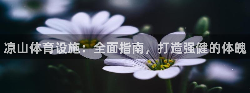 意昂体育3招商电话号码查询是多少：凉山体育设施：全面