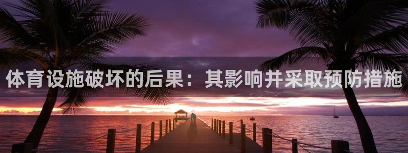 海南意昂体育3发展怎么样：体育设施破坏的后果：其影响
