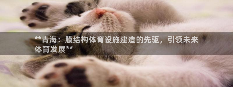 意昂体育3是干嘛的公司：**青海：膜结构体育设施建造的先驱，